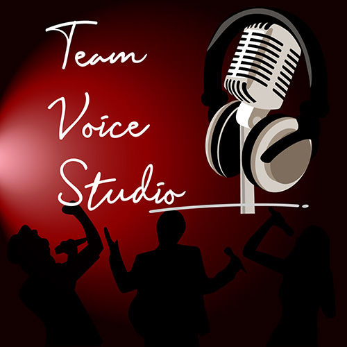 Team Building logo Team Voice Studio